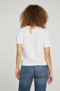 Shop Chaser Brand Cactus Flower