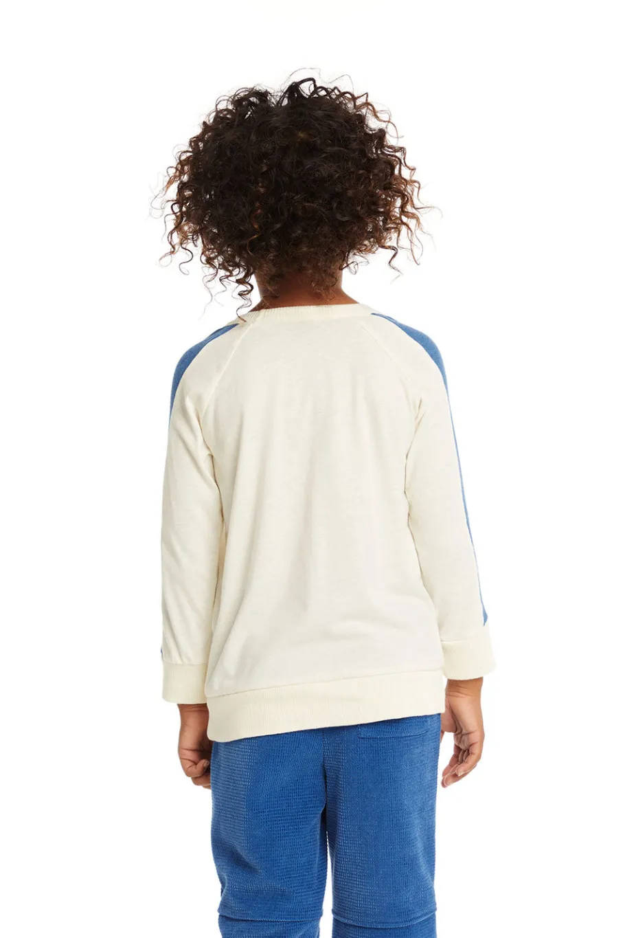 New Chaser Brand Grateful Dead Skull And Wings Long Sleeve