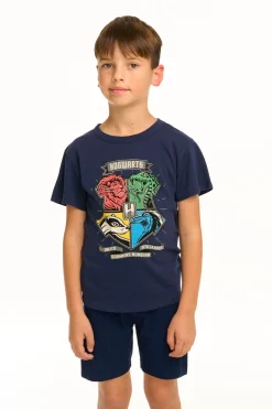 Online Chaser Brand Harry Potter - Hogwarts Crest Tee