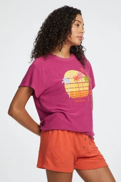 Sale Chaser Brand Sunset Chaser